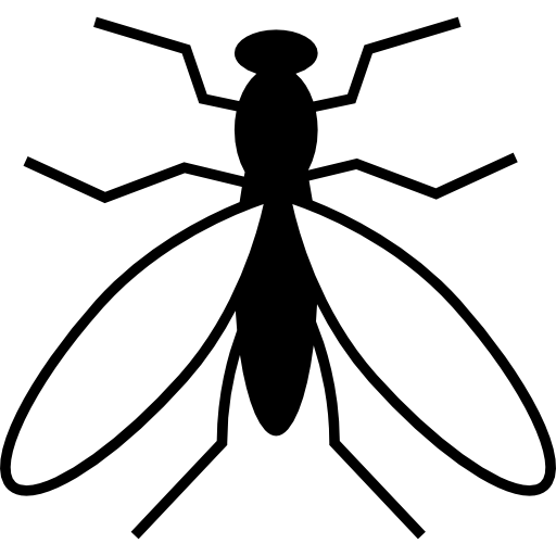 Mosquito from top view